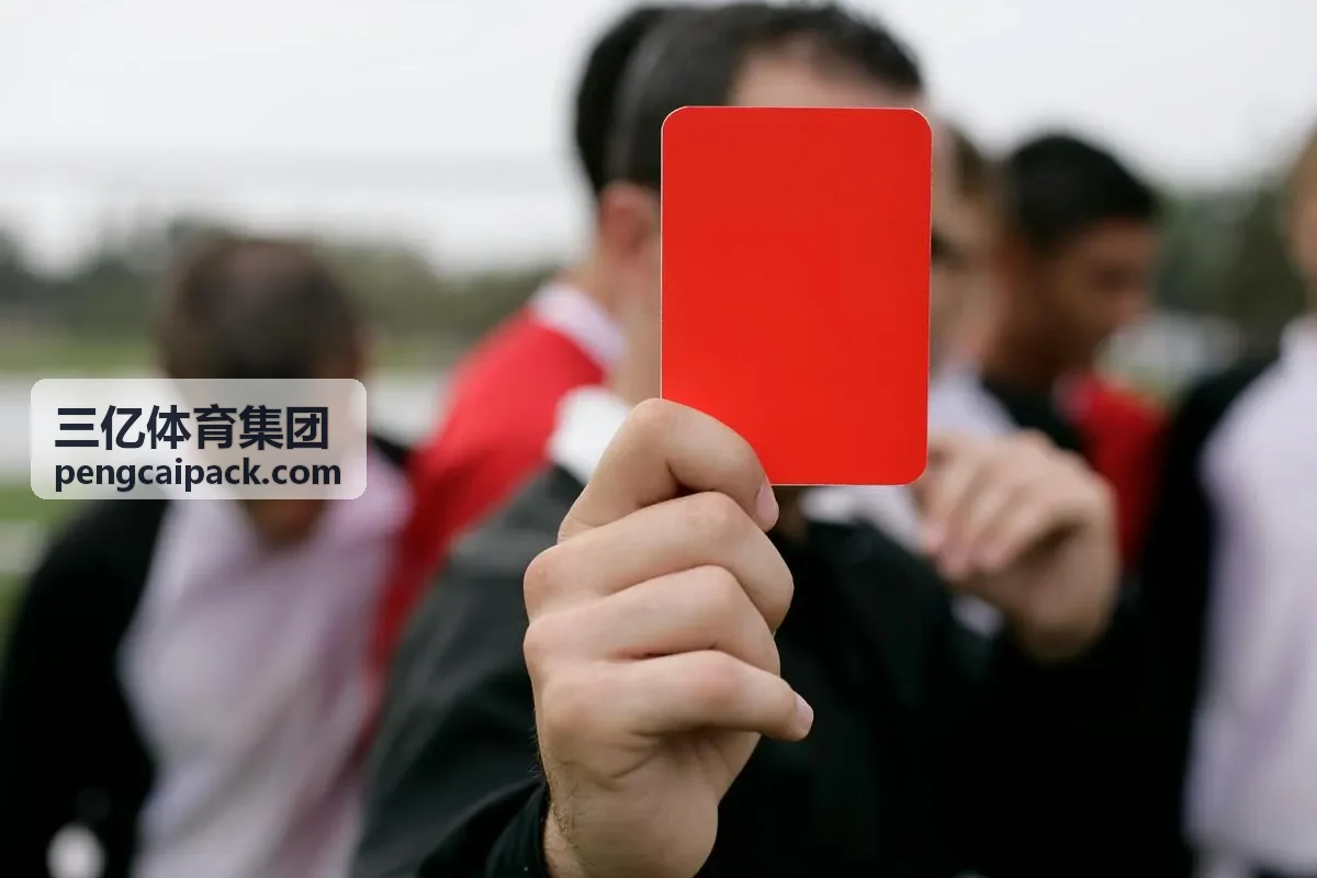 三亿体育集团校园运动场整体解决方案
