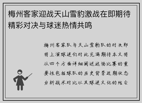 梅州客家迎战天山雪豹激战在即期待精彩对决与球迷热情共鸣