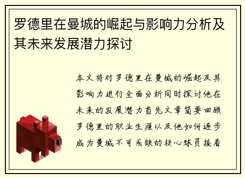 罗德里在曼城的崛起与影响力分析及其未来发展潜力探讨