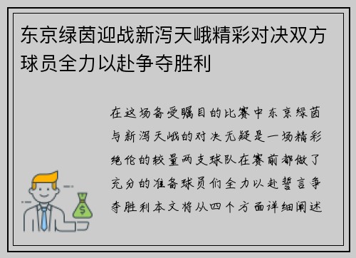 东京绿茵迎战新泻天峨精彩对决双方球员全力以赴争夺胜利