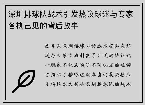 深圳排球队战术引发热议球迷与专家各执己见的背后故事