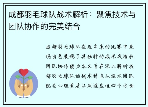 成都羽毛球队战术解析：聚焦技术与团队协作的完美结合