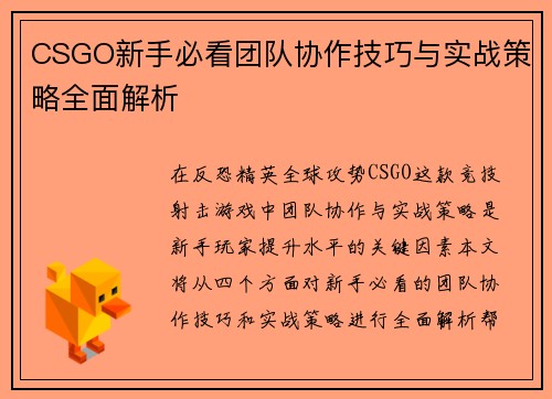 CSGO新手必看团队协作技巧与实战策略全面解析